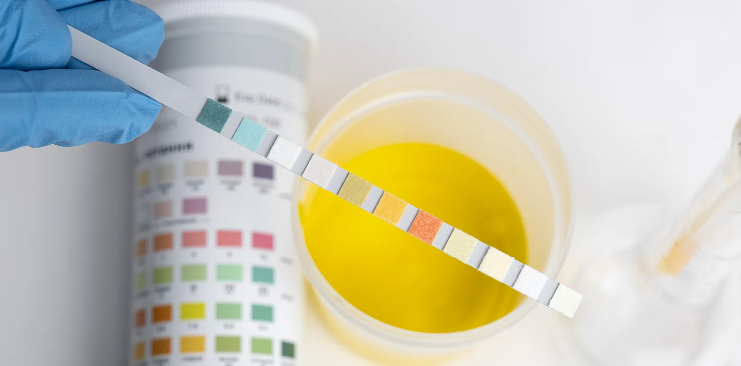 Экспресс-анализ воды — специалист проводит тестирование с помощью тест-полосок